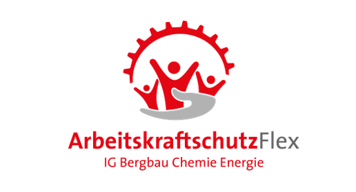 Logo AKS Flex IG BCE