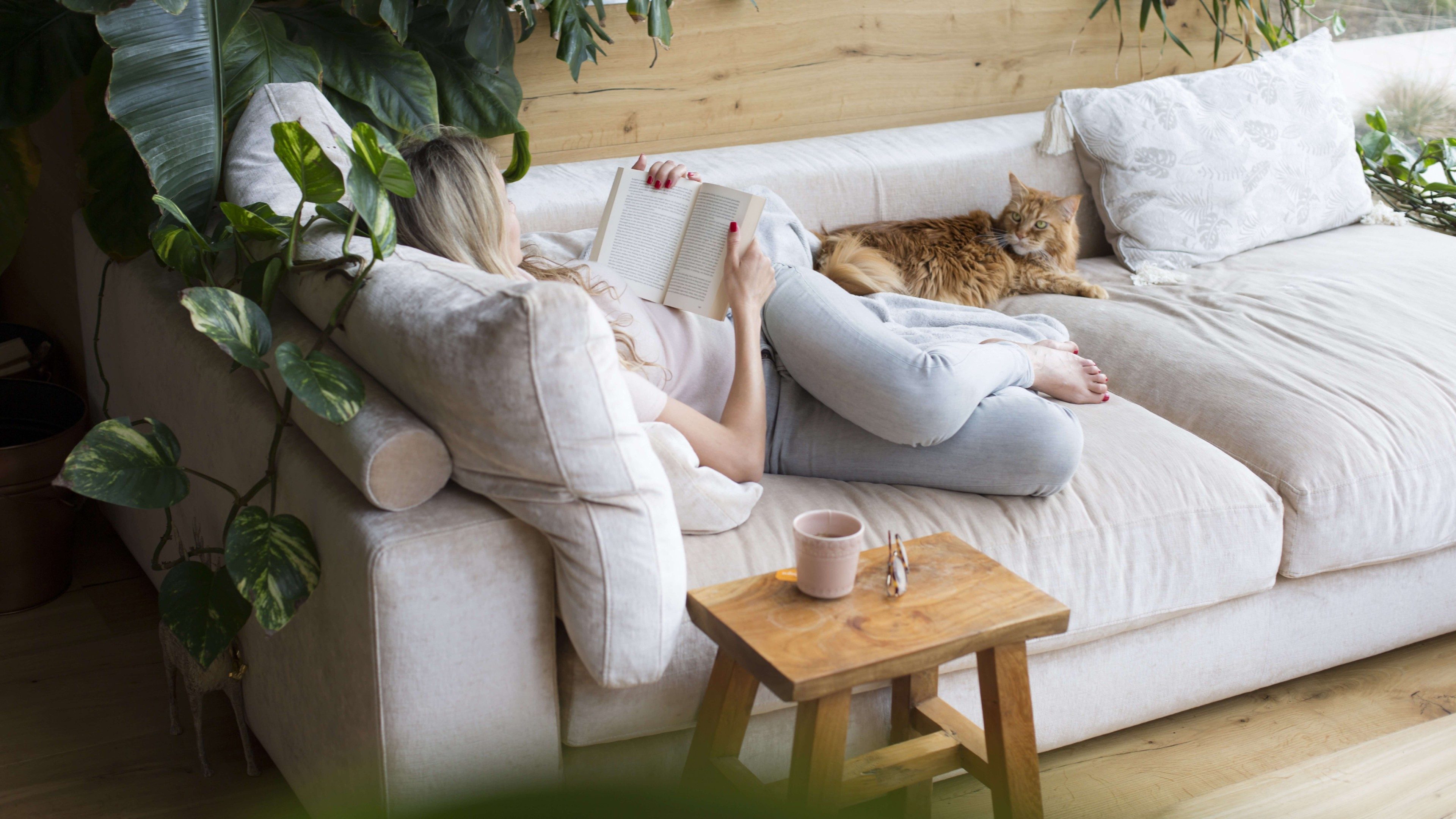 Frau entspannt auf Couch mit Buch und Katze