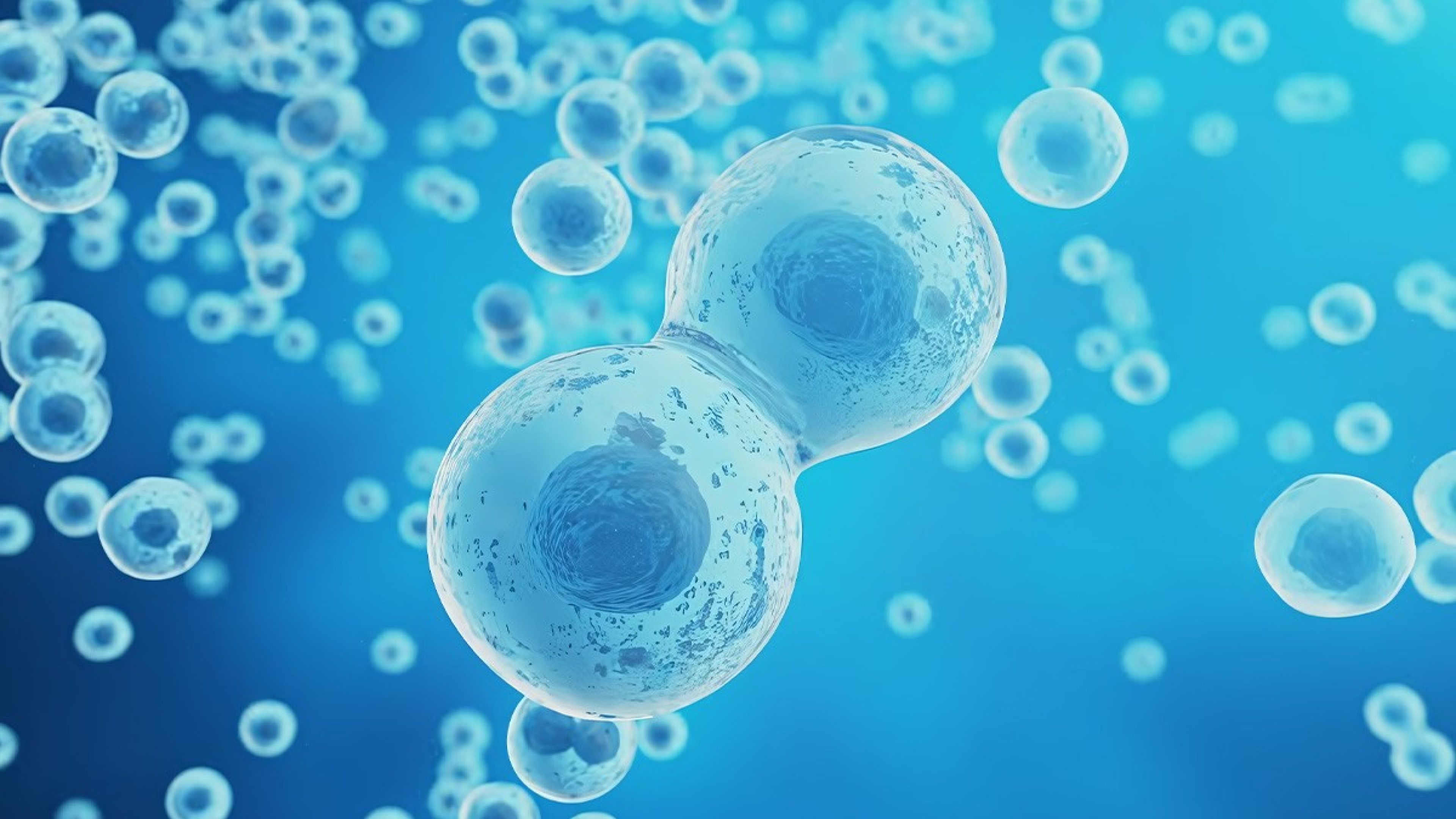 Blaues Bild mit menschlichen Zellen