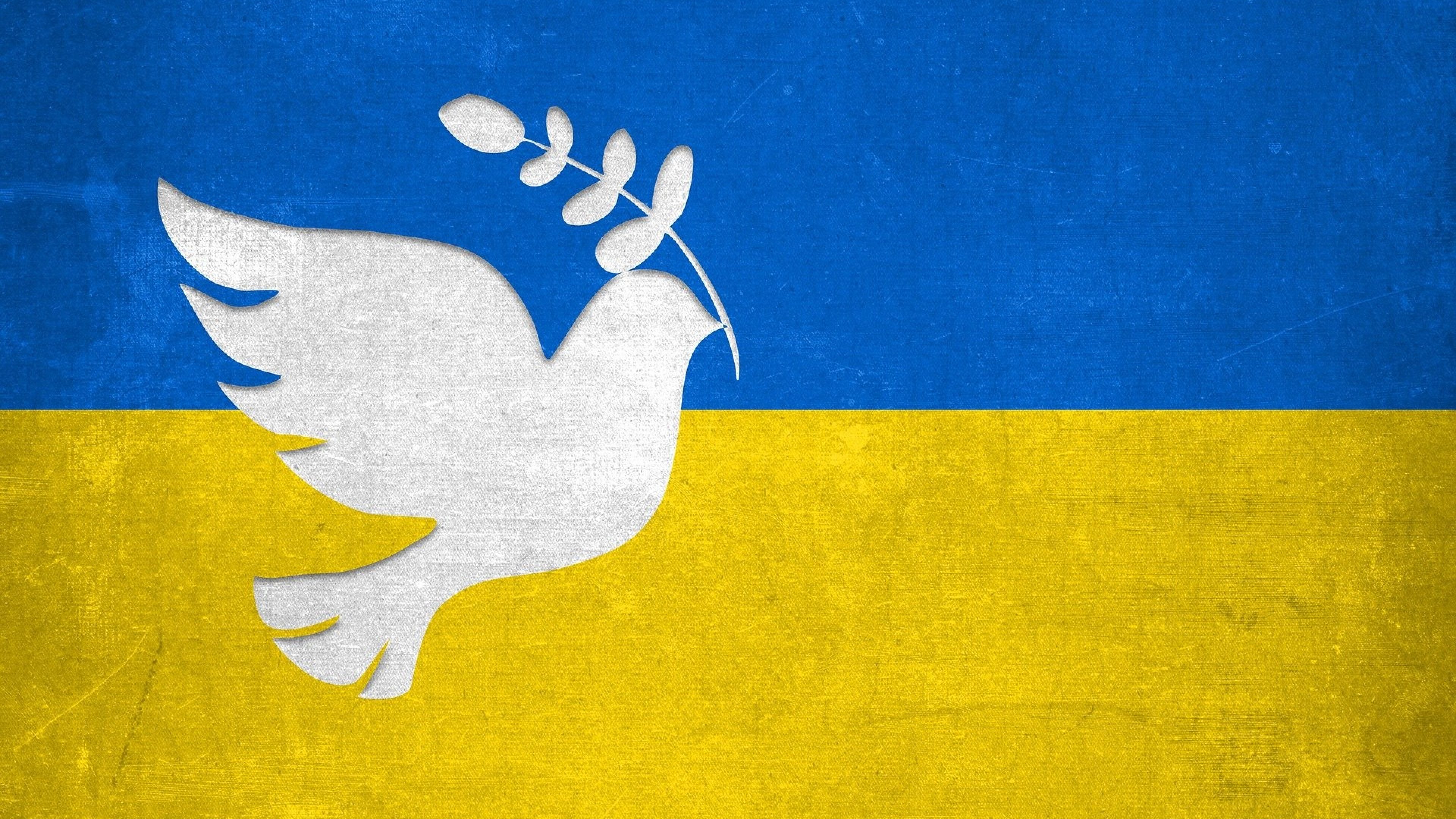 Friedenstaube auf ukrainischer Flagge