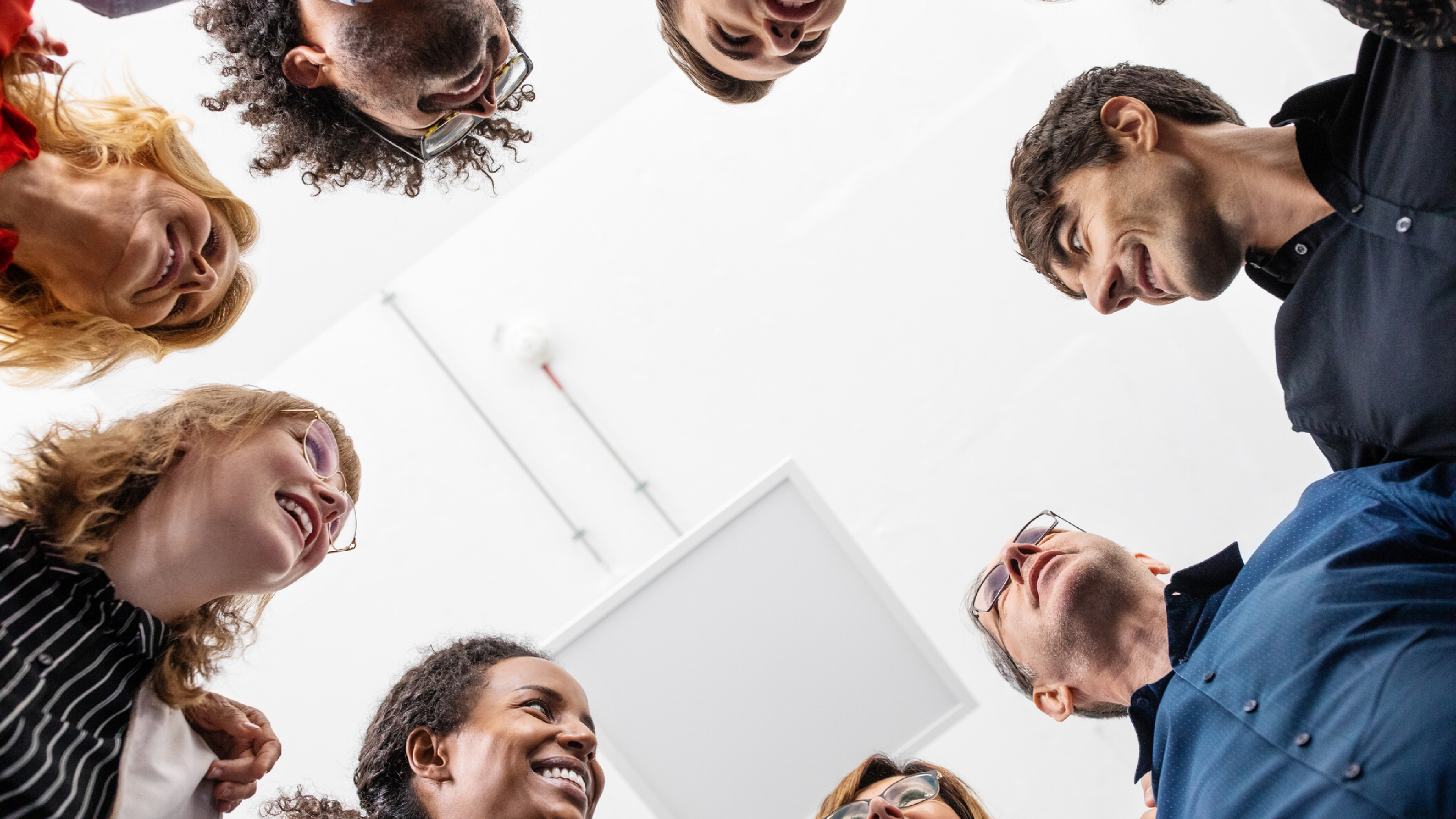 Directly below shot of smiling multi-ethnic male and female entrepreneurs huddling together in creative office