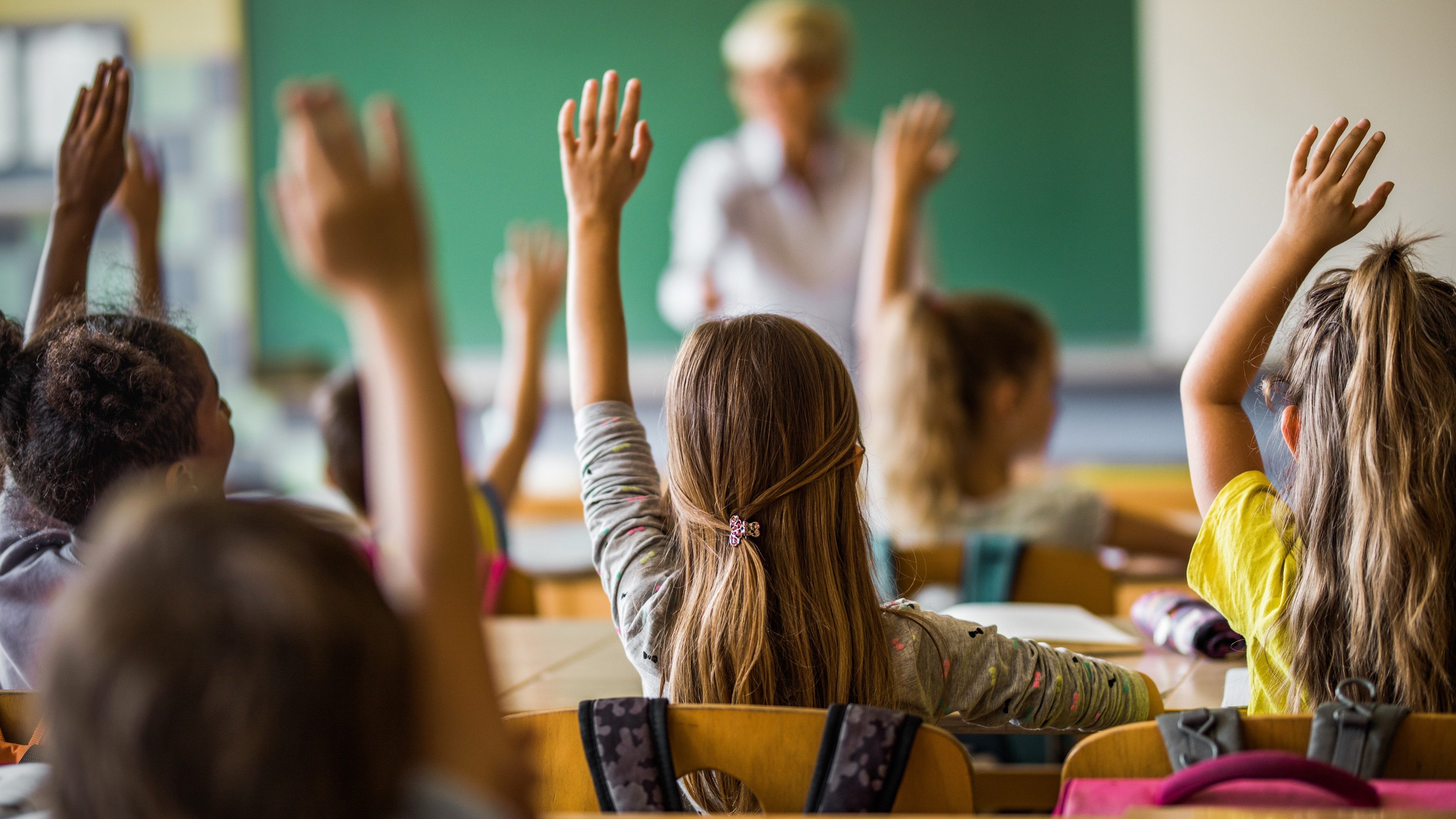 Rear view of large group of students raising their arms to answer the question on a class at elementary school.