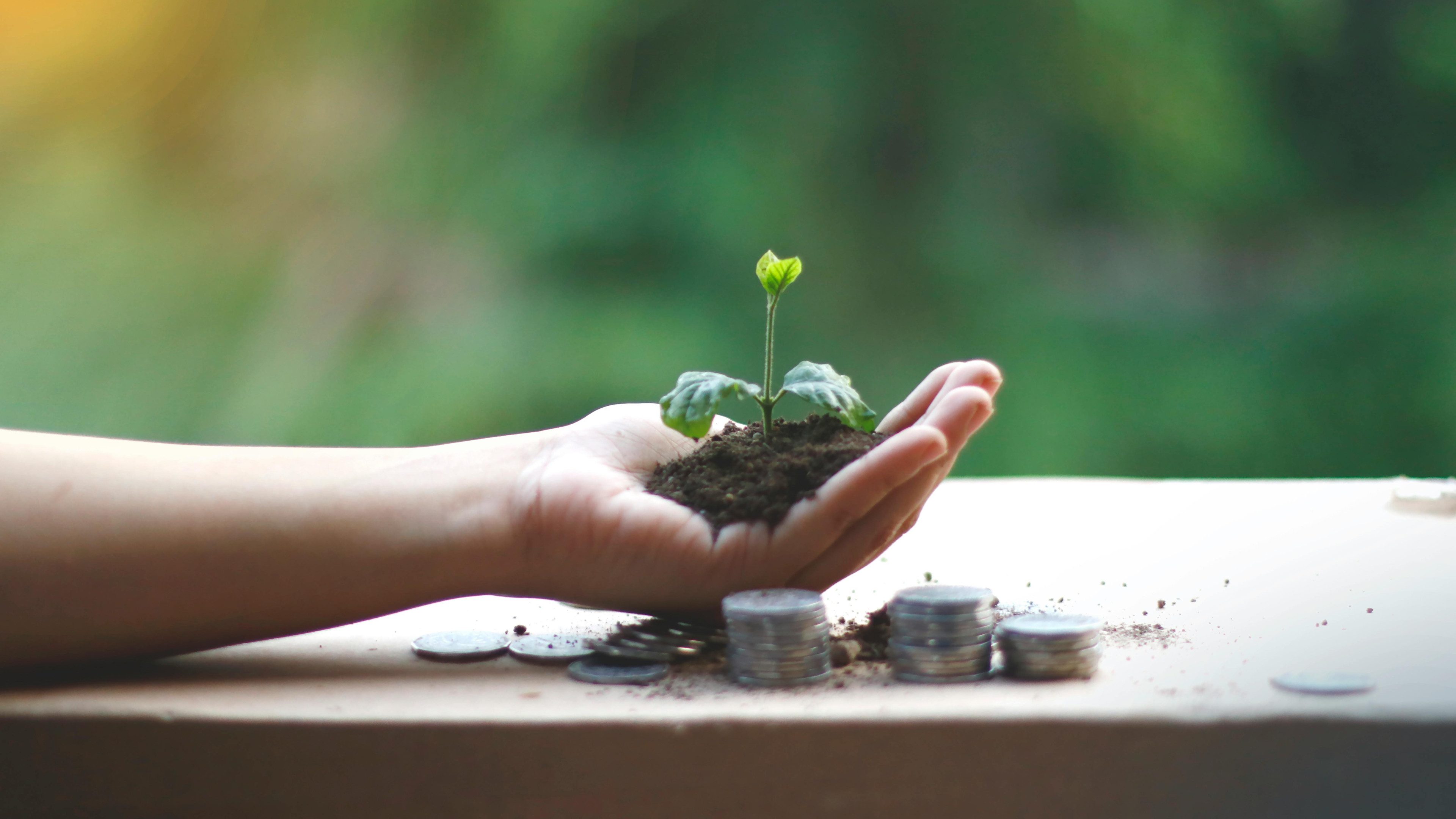 Medienportal Cash-Kolumne Finanzierung3