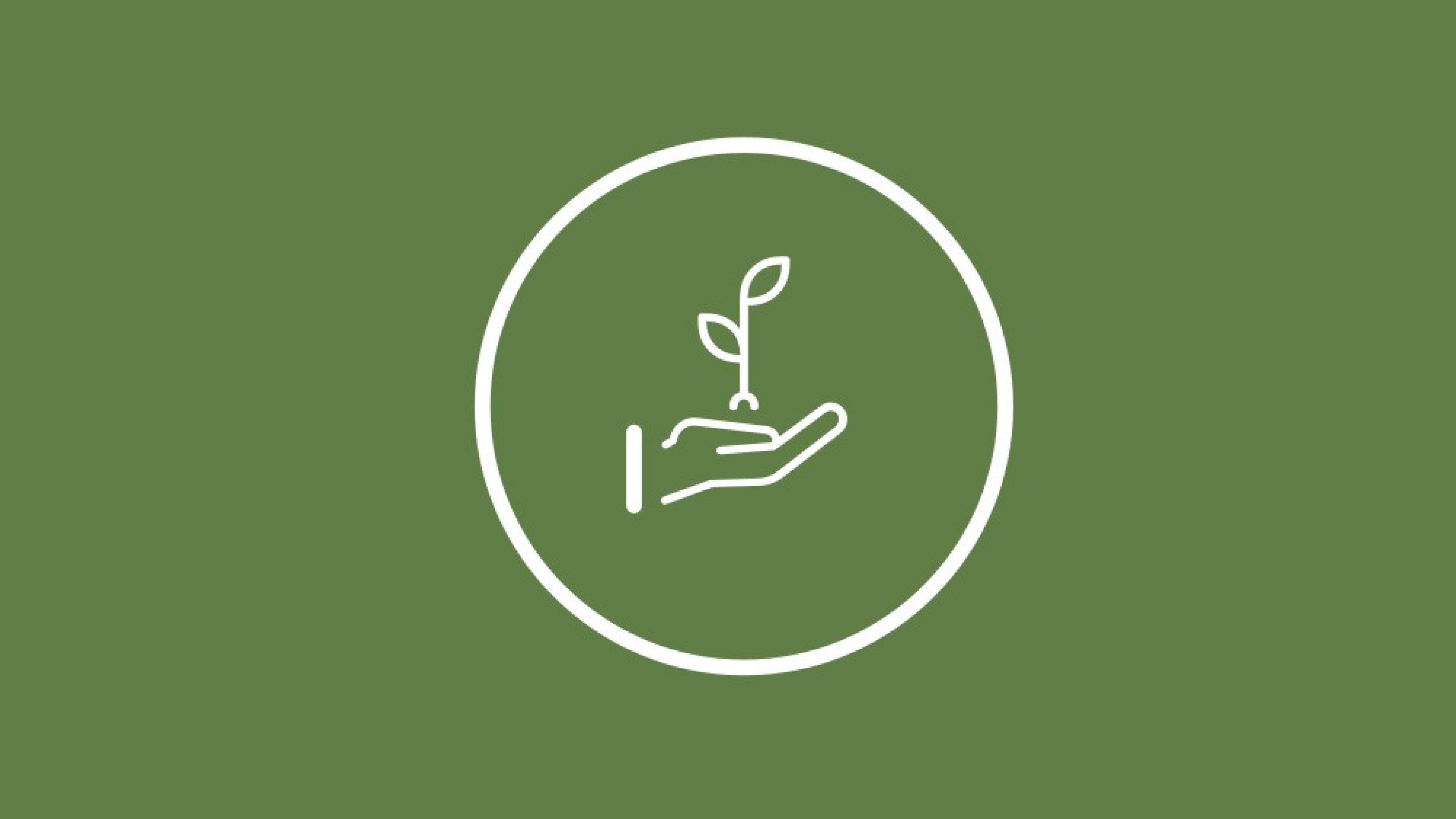 Verguetungspolitik-HG