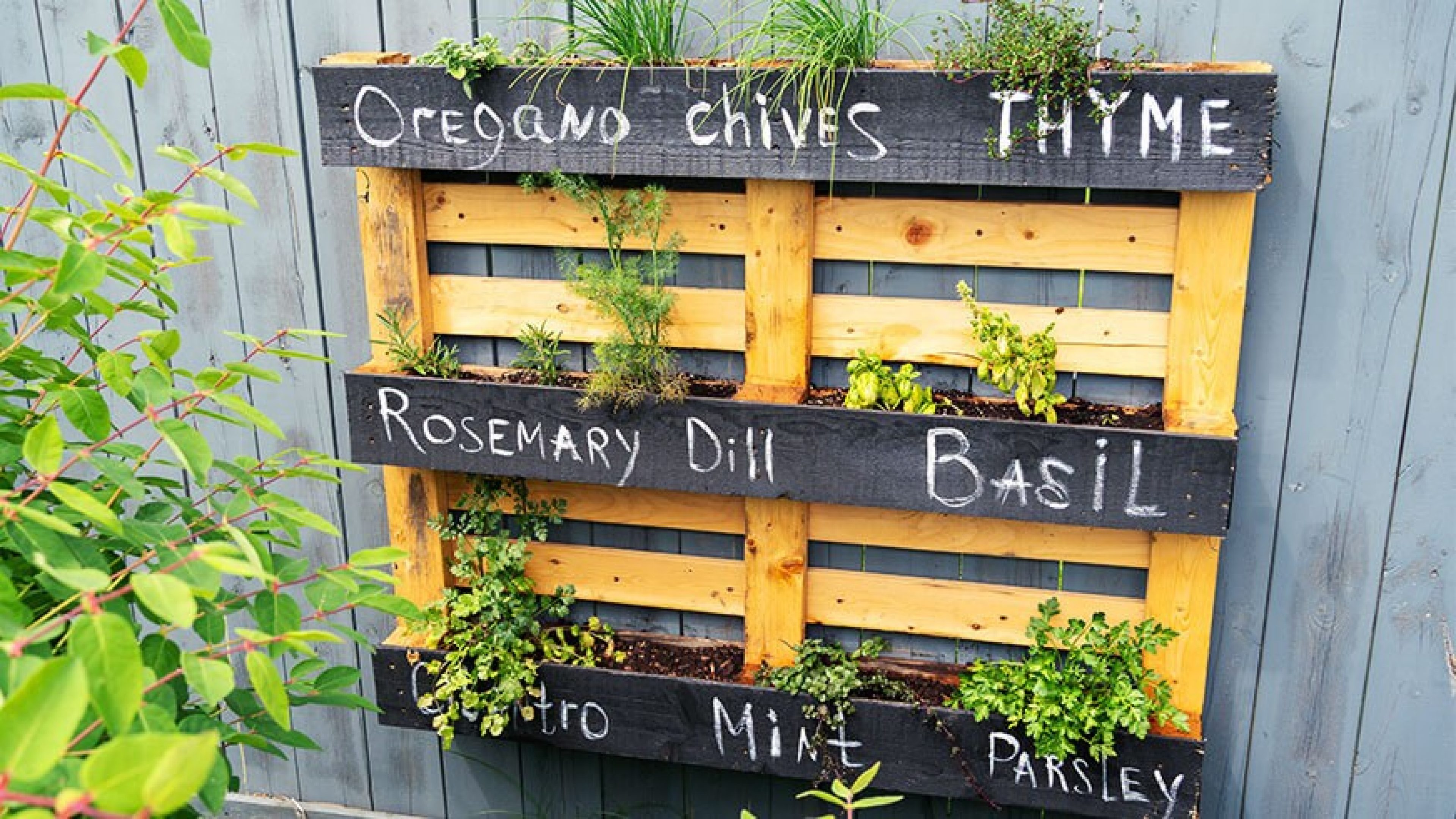 SLD_Vertical_Gardening_Micro_Gardening_1254472124_872x491
