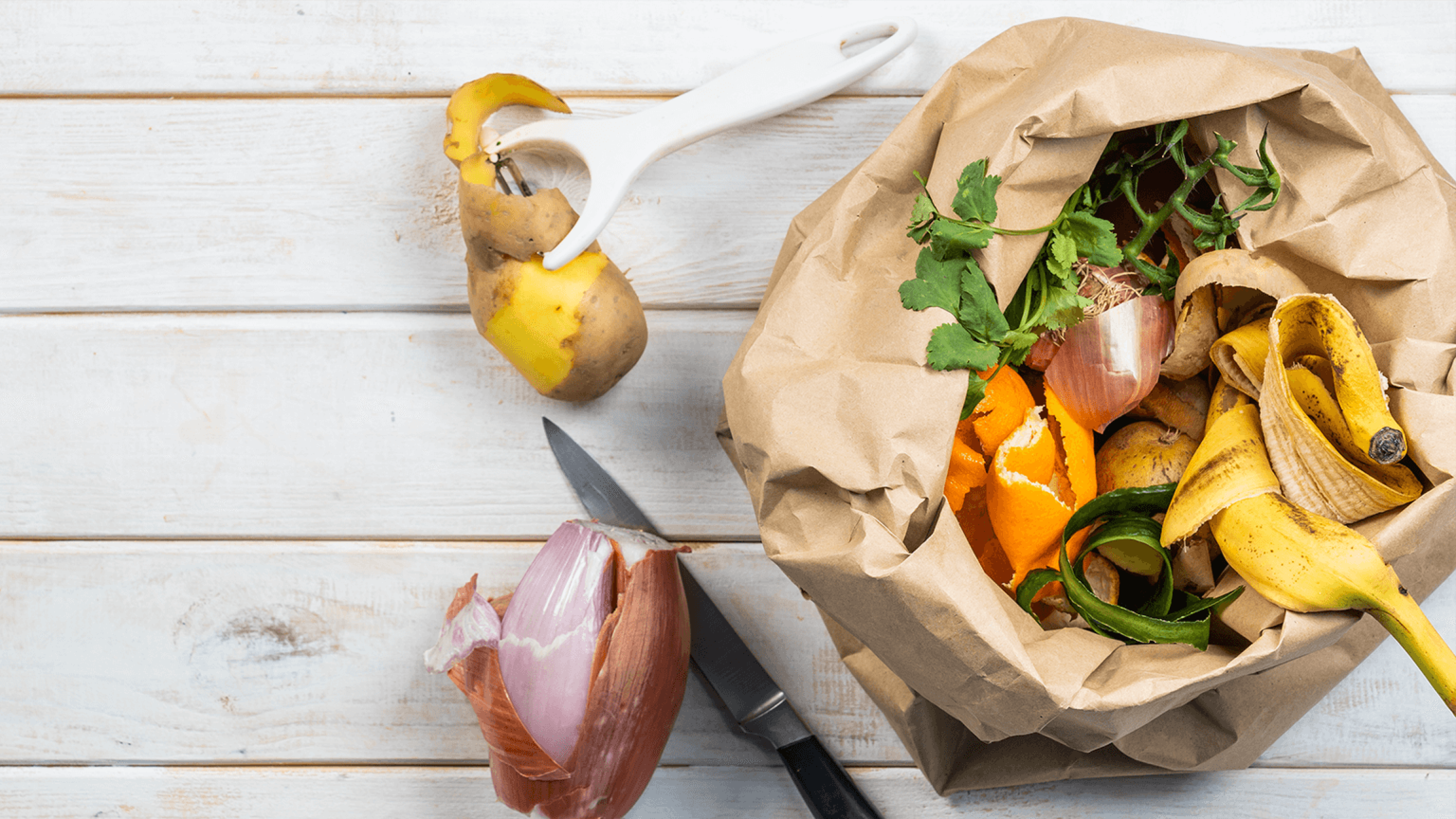 SLD_Nachhaltigkeitstipps_Bioplastik_1536x864