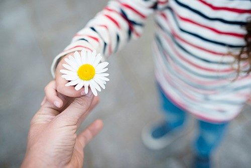 Kind mit Gänseblümchen in der Hand
